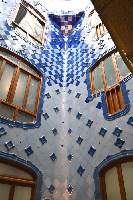 DSC_8893.JPG?type=w466