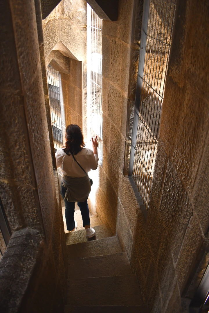 DSC_8297.JPG?type=w966