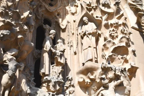 DSC_8161.JPG?type=w466