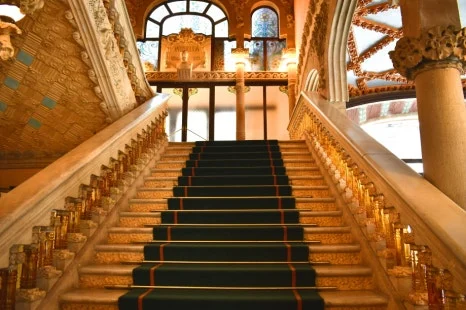 DSC_8911.JPG?type=w466