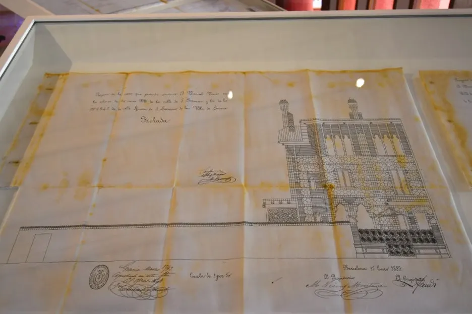 DSC_8555.JPG?type=w1