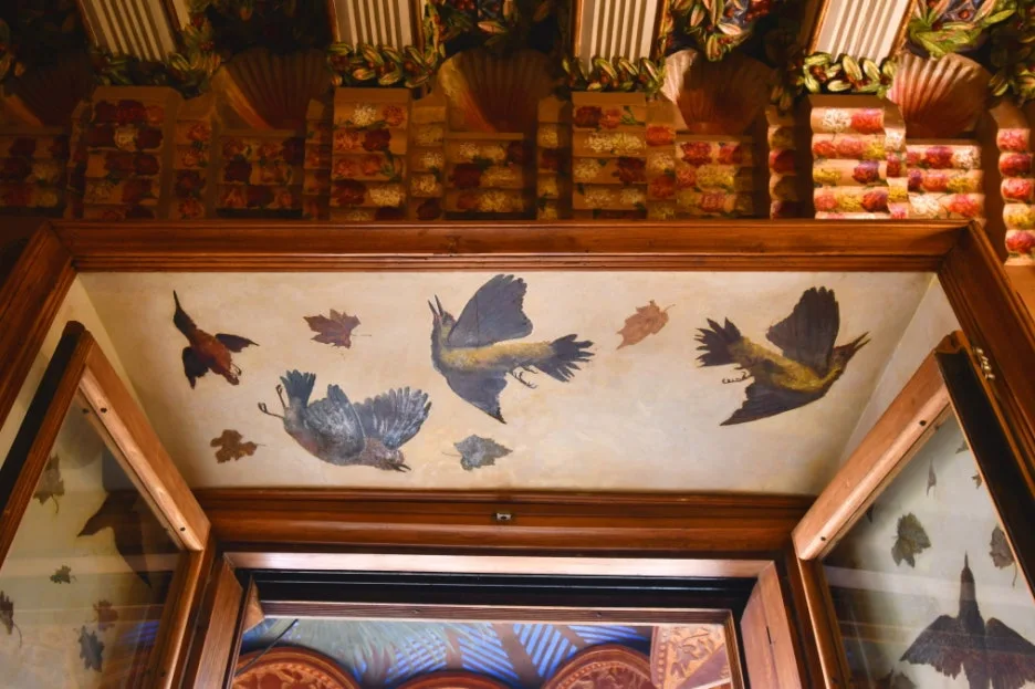 DSC_8500.JPG?type=w1