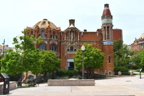 DSC_8357.JPG?type=w466