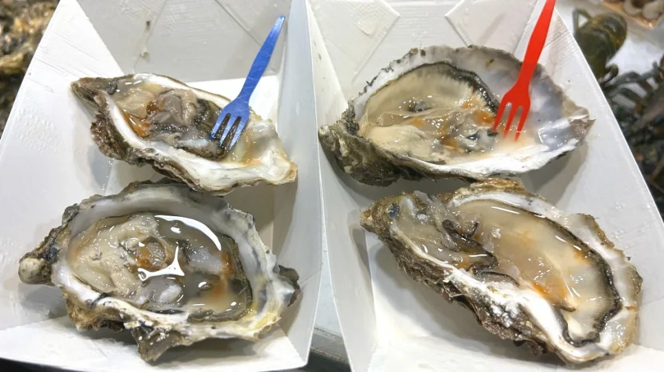 IMG_E0574.JPG?type=w966