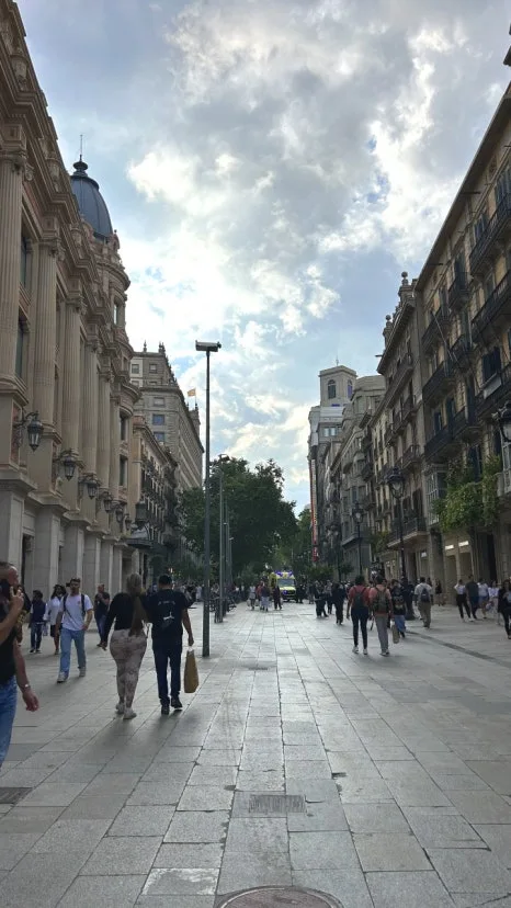 IMG_E0506.JPG?type=w466