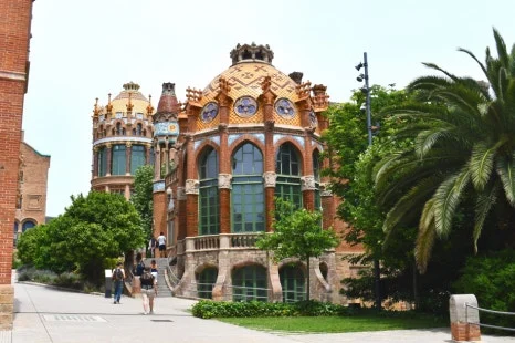 DSC_8361.JPG?type=w466