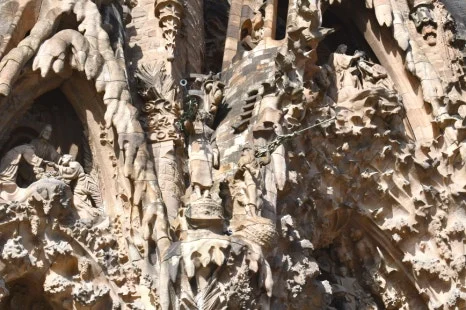 DSC_8164.JPG?type=w466