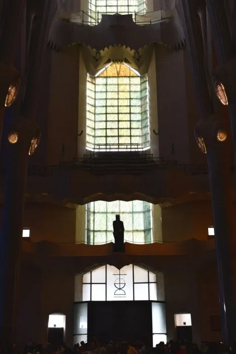 DSC_8265.JPG?type=w466