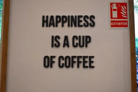 DSC_8106.JPG?type=w466