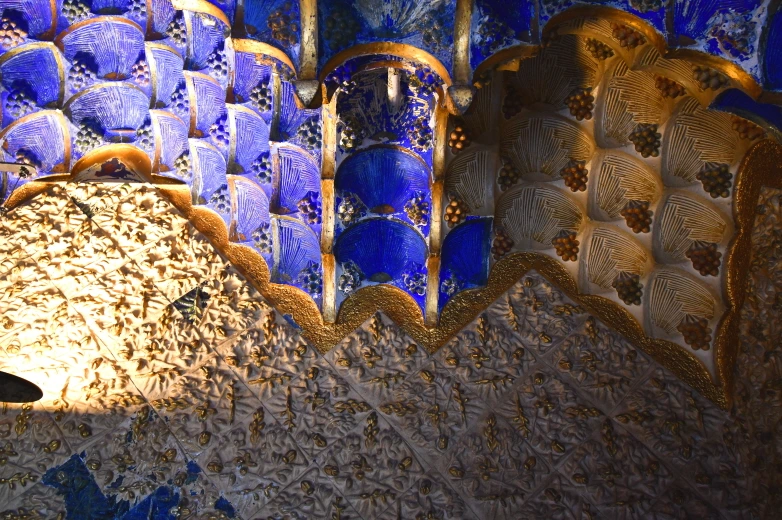 DSC_8510.JPG?type=w1