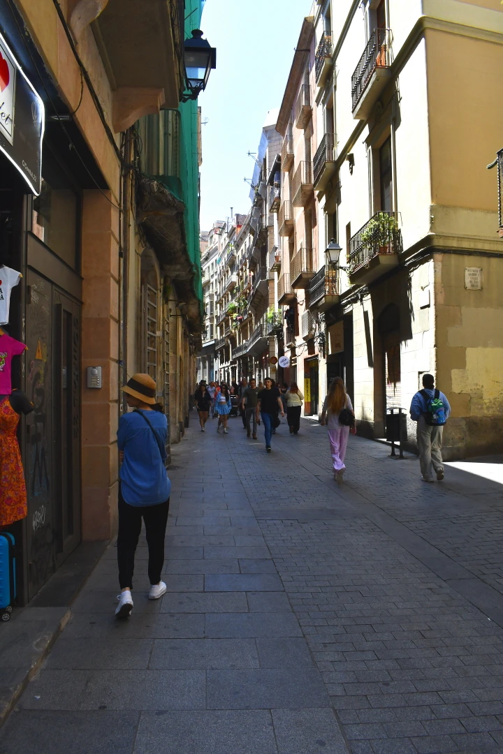 DSC_8979.JPG?type=w966