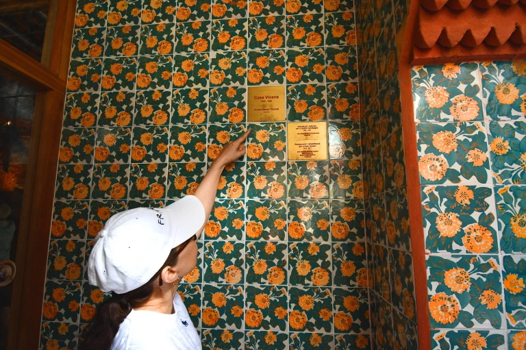 DSC_8480.JPG?type=w1