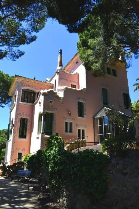 DSC_8657.JPG?type=w466