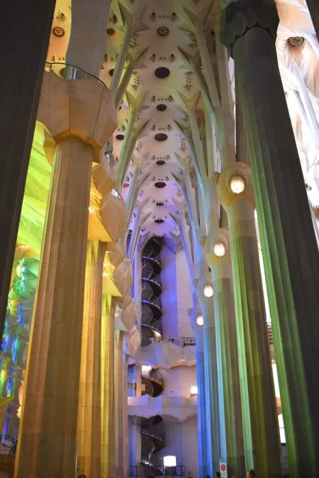 DSC_8207.JPG?type=w466