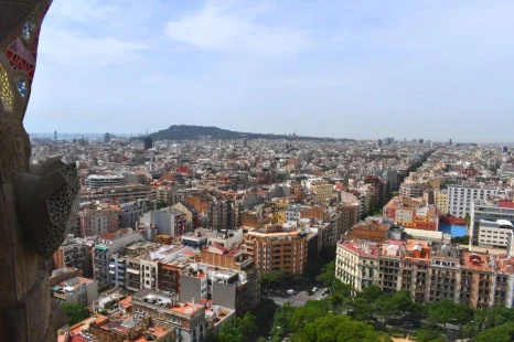 DSC_8291.JPG?type=w466