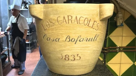 IMG_E0516.JPG?type=w466