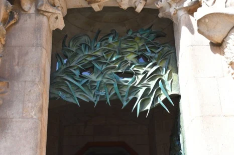 DSC_8177.JPG?type=w466