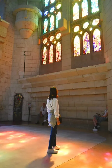 DSC_8282.JPG?type=w466