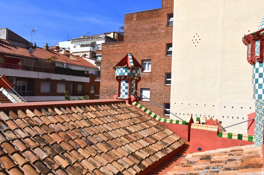 DSC_8561.JPG?type=w1