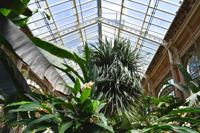 DSC_8644.JPG?type=w966