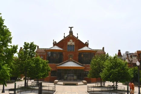 DSC_8395.JPG?type=w466