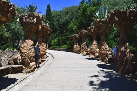 DSC_8674.JPG?type=w466