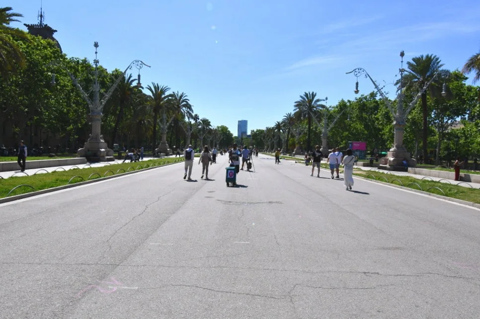 DSC_8587.JPG?type=w966