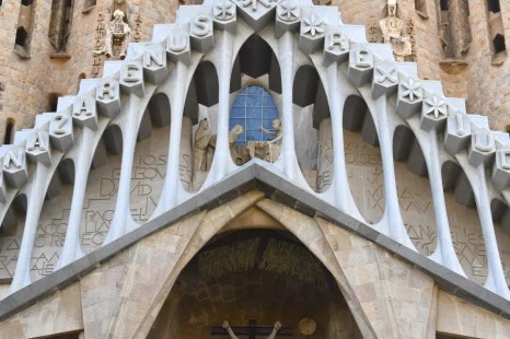 DSC_8156.JPG?type=w466