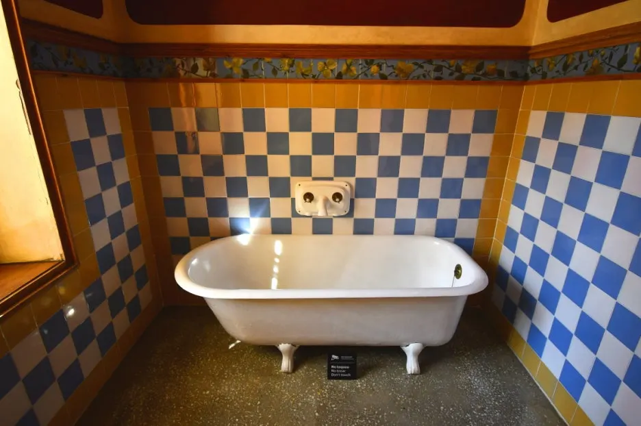 DSC_8537.JPG?type=w1