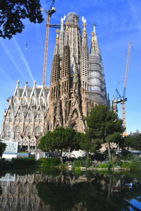 DSC_8111.JPG?type=w466