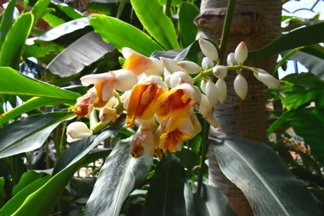 DSC_8640.JPG?type=w466