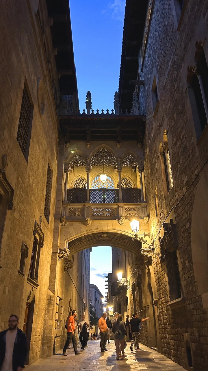 IMG_E0540.JPG?type=w966