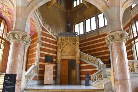 DSC_8403.JPG?type=w466