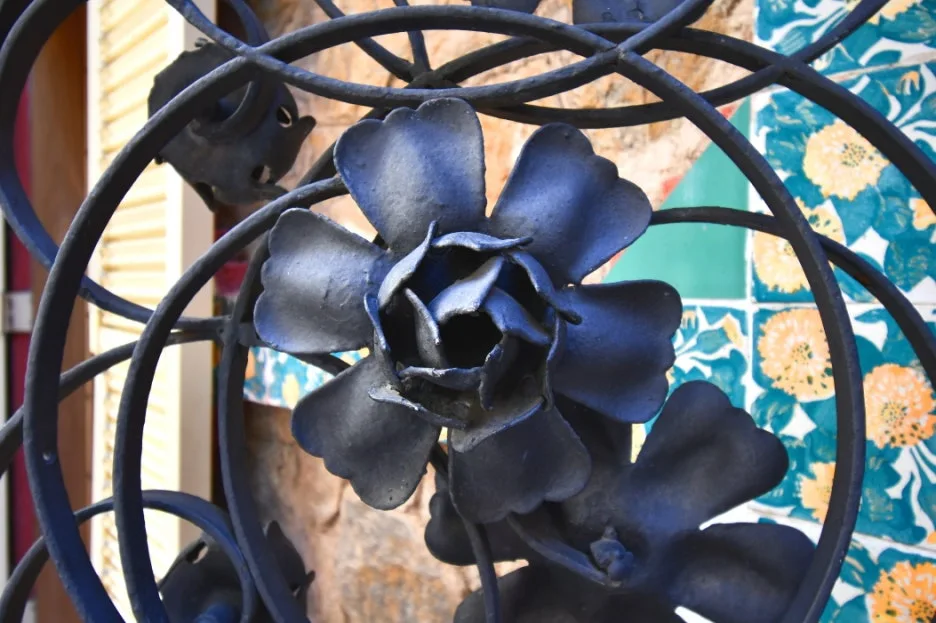 DSC_8477.JPG?type=w1