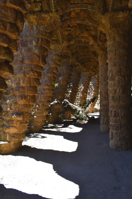 DSC_8667.JPG?type=w466