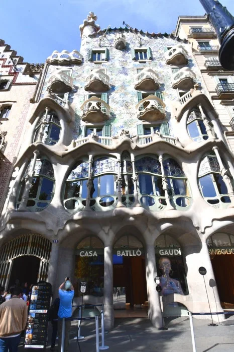 DSC_8796.JPG?type=w466