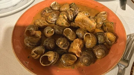 IMG_E0531.JPG?type=w466