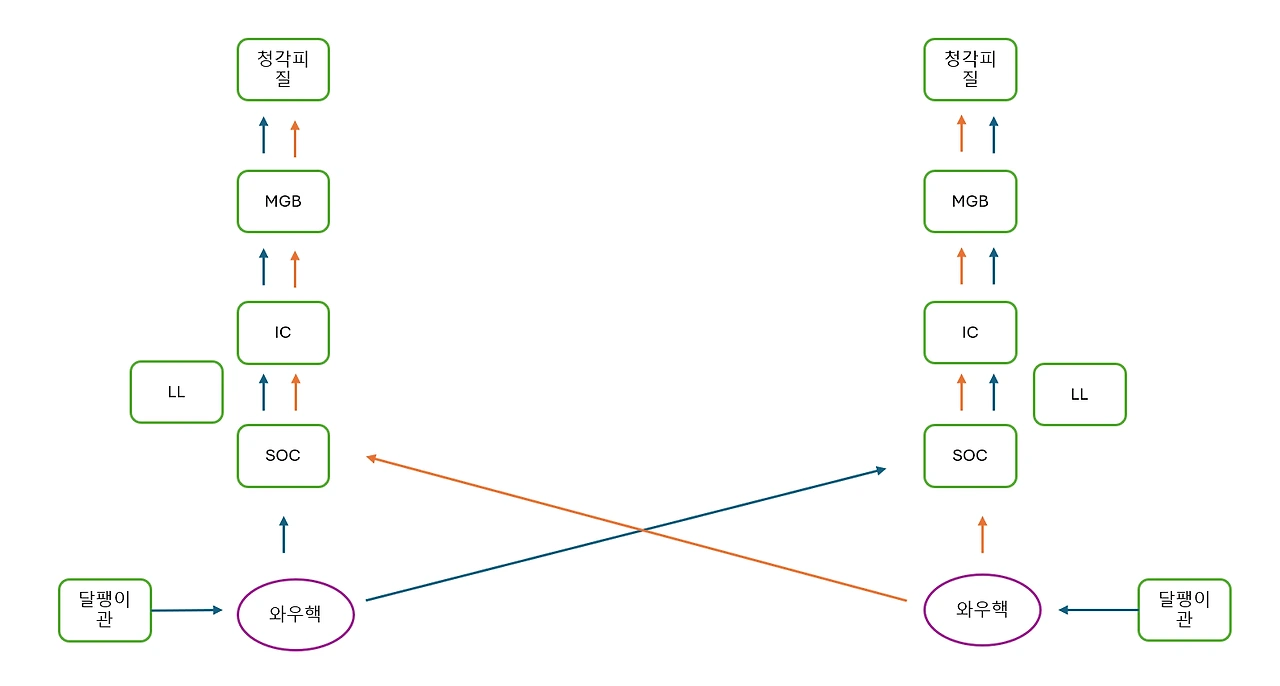 AD_4nXeSIdyuF3-MCSPiVtPE0_WKQ9x5upf23JoT2g4FJZT2iS1oy0dDSgfhPirvDXA5qoKqm2NLo4BC_sOx63X9s8T7Uw5PtlGvQ3yvTKNetoetpORLD91WPeNrR6gnqRHb5oH2DtnEyQ?key=3VxNtqMnfgSqY7hTyEEmfA