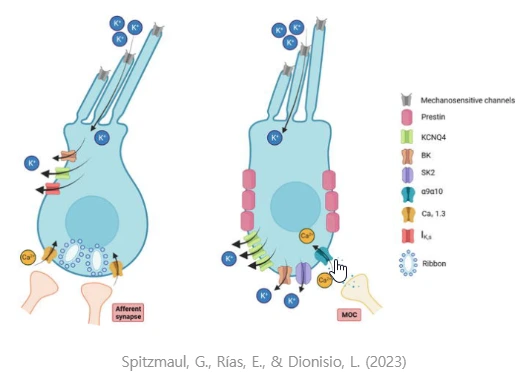 AD_4nXc2MYoXlBaY6H7E9vmpuY35f7-HgMFMQlHb-DT8EhP_DzM5t7lTXUgsrFXYVtC1HJ_lR43b5rwqLt42QHECbLHU7WMR2l_BH6V_LHKYOhj5UnOOVYhYQitmNv-9DnjEbG-TU9Yk?key=3VxNtqMnfgSqY7hTyEEmfA