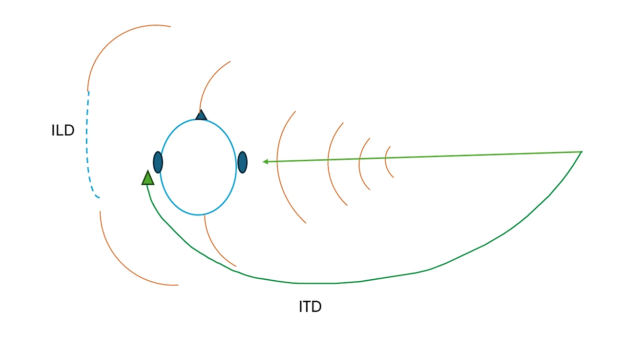 AD_4nXdzCJrQN_FOTBWk2gA1n9gKwsPxmj8FO7aKNghascine_uulTNzFibJSLwiUJw6hhdWeUM2aiuTxUF08hQMWWO_yA0XXKbh0iXLWeqIvJ3lW7g6jyho6SQylS3_zbFBjUUpFruWxw?key=3VxNtqMnfgSqY7hTyEEmfA