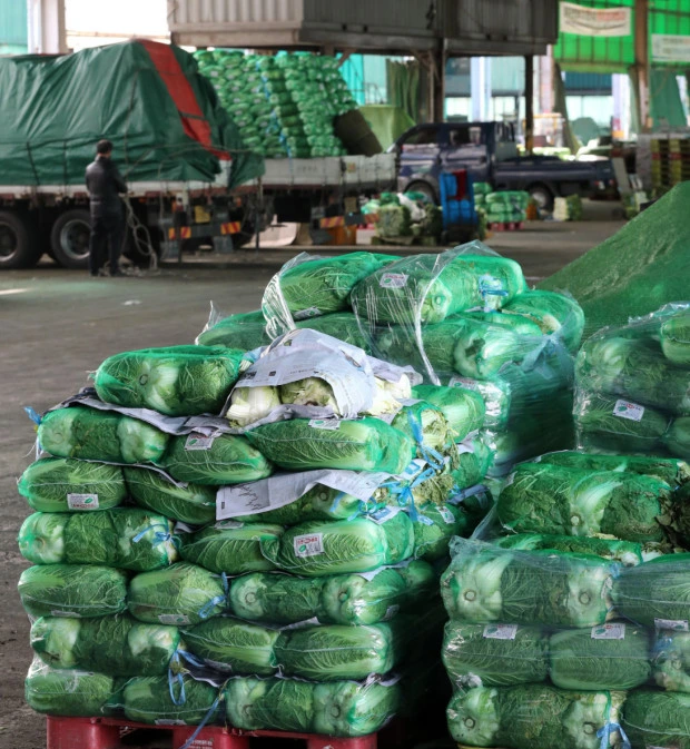 ?src=http%3A%2F%2Fimgnews.naver.net%2Fimage%2F421%2F2021%2F11%2F11%2F0005717382_001_20211111133914050.jpg&type=sc960_832