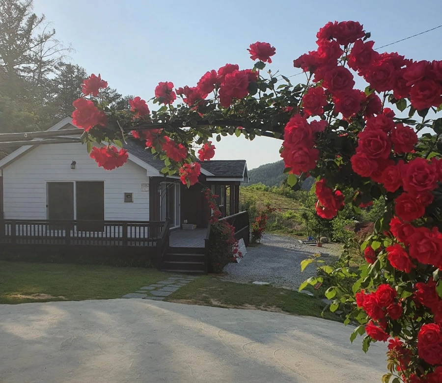 1682285380290.jpg?type=w1