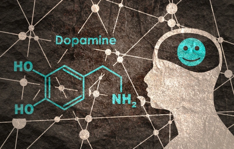How-to-Manage-Dopamine-for-Sales-Success.jpg?type=w800