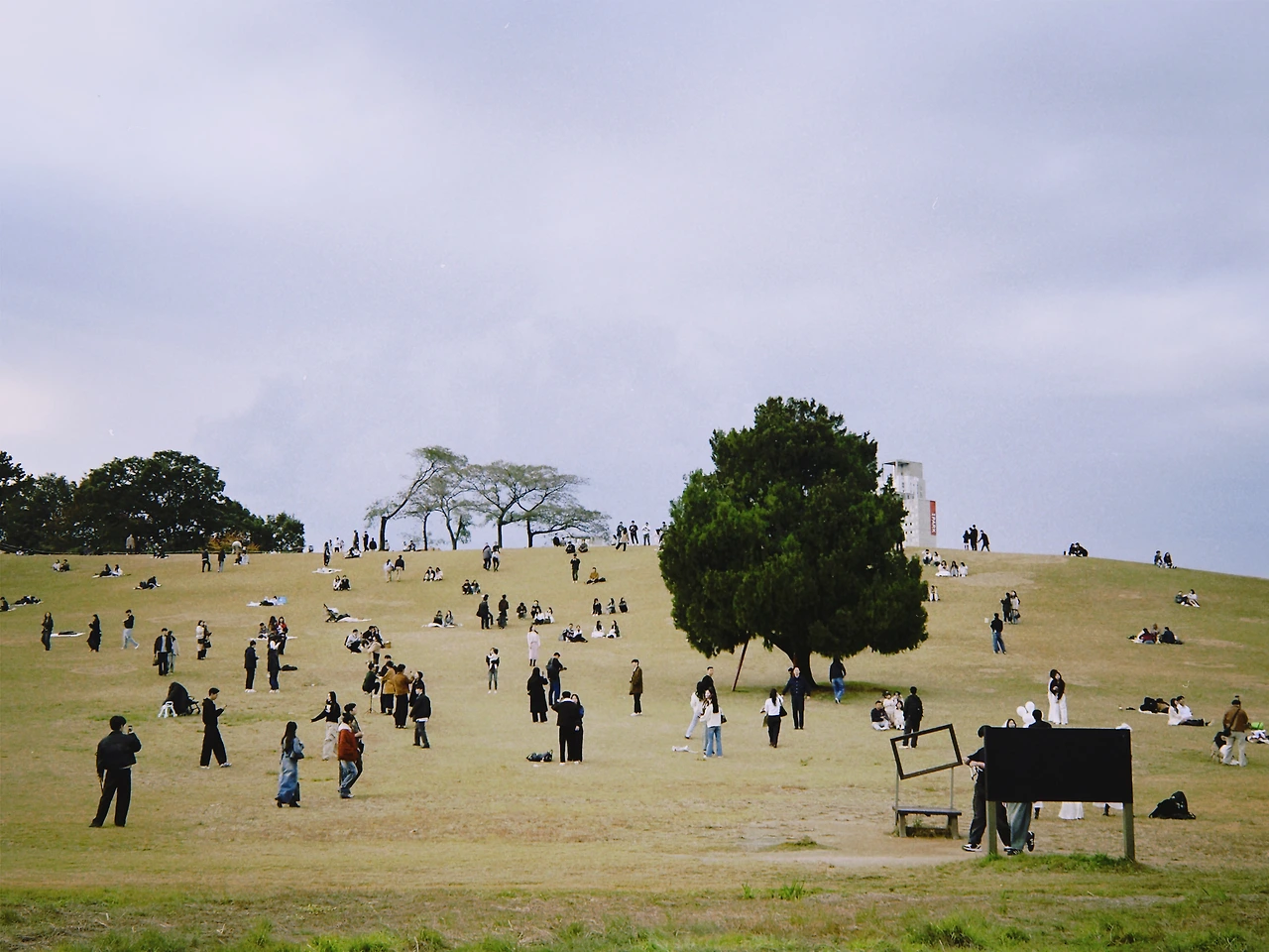 ct2f 2025-11-01 171713.564.JPG