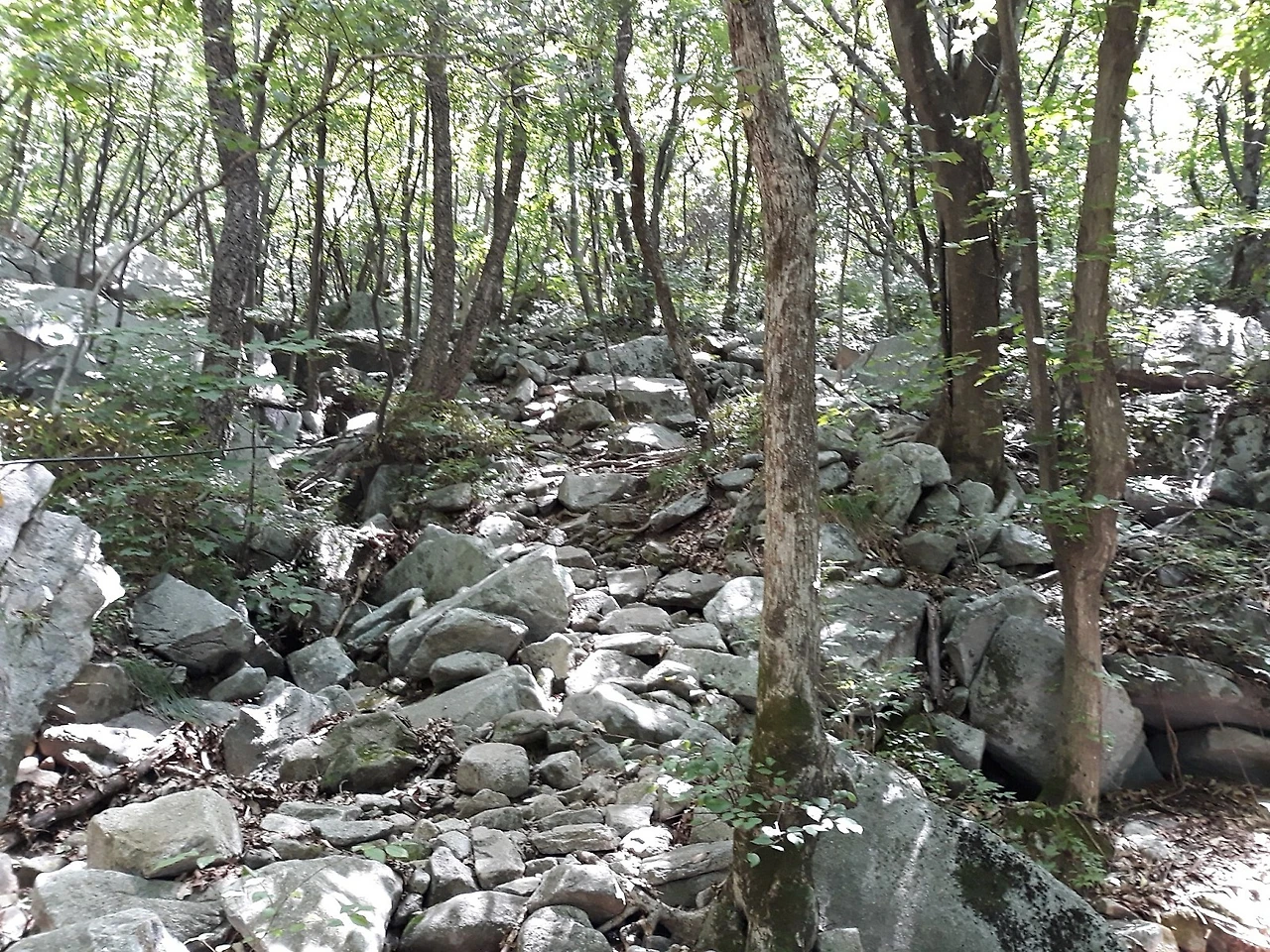 20190818_111643.jpg?type=w1600