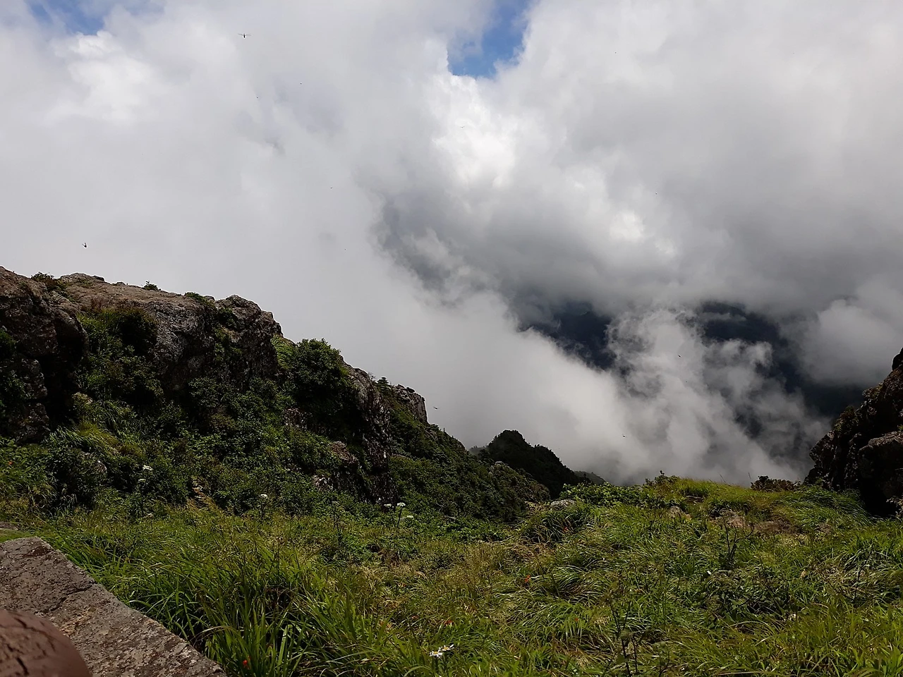 20190801_123757.jpg?type=w1600