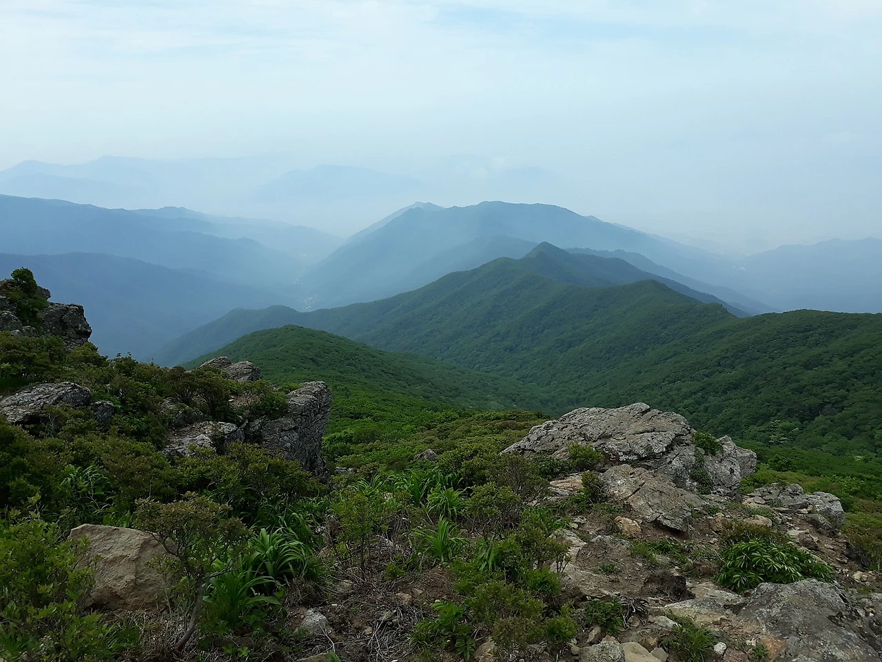 20180606_101550.jpg?type=w1600