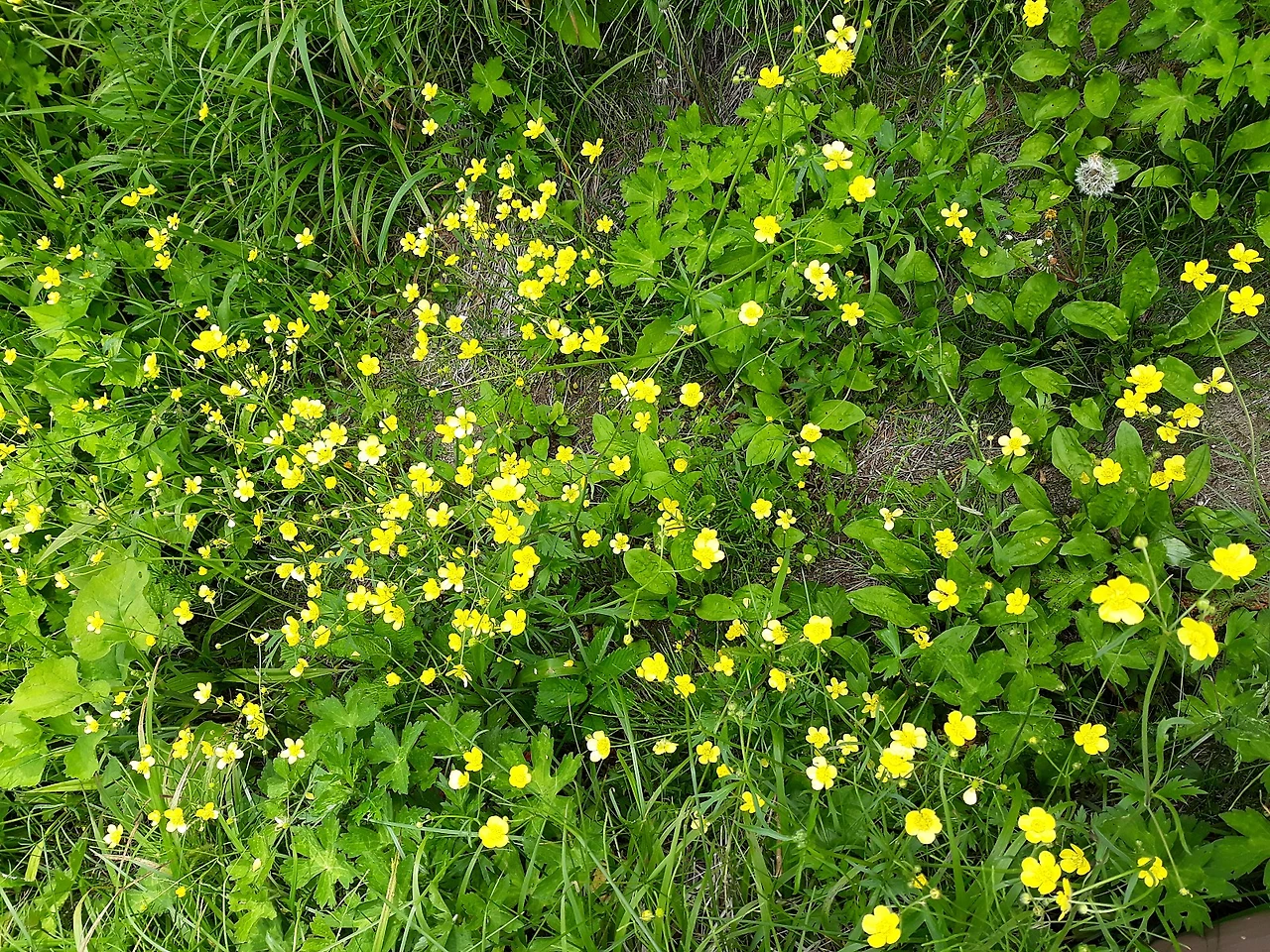 20180606_101054.jpg?type=w1600