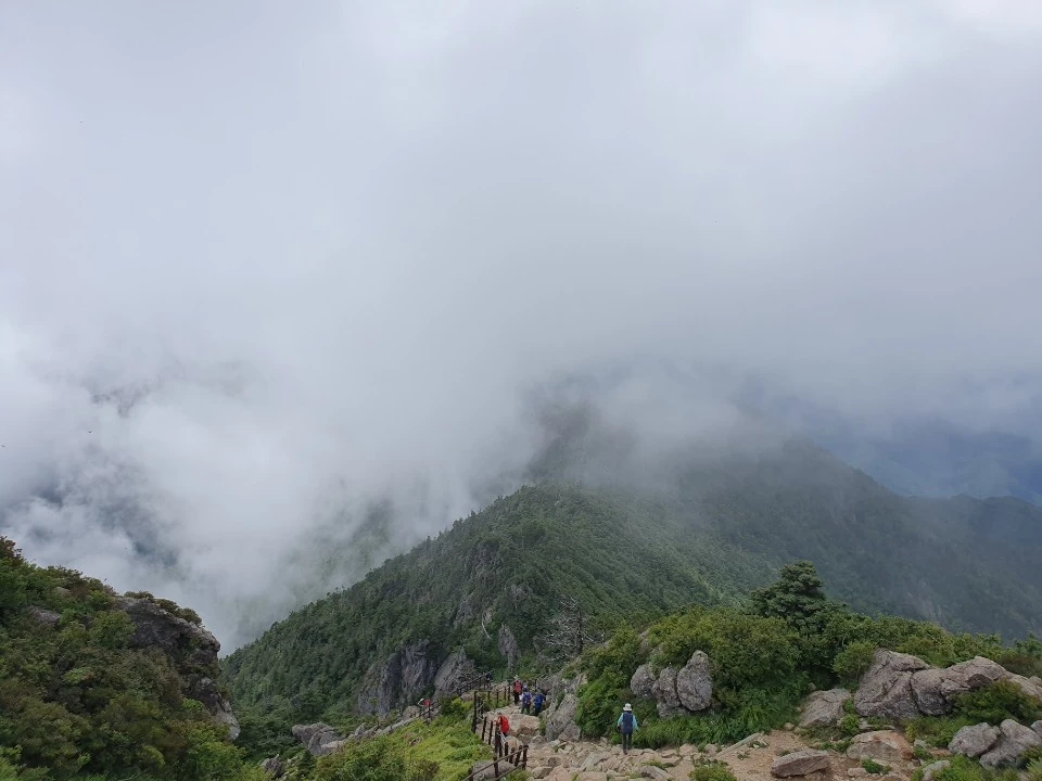 1564666137338.jpg?type=w1600