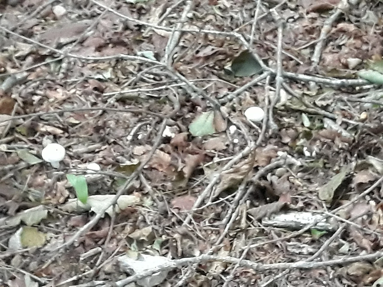 20190919_071907.jpg?type=w1600